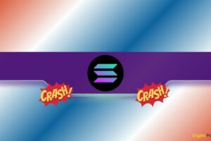 Is a new 50% collapse looming?